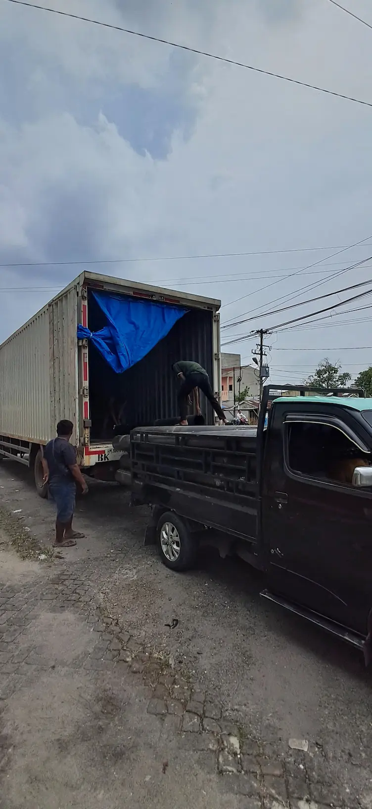 jasa_ekspedisi_cargo_pengiriman_unggas