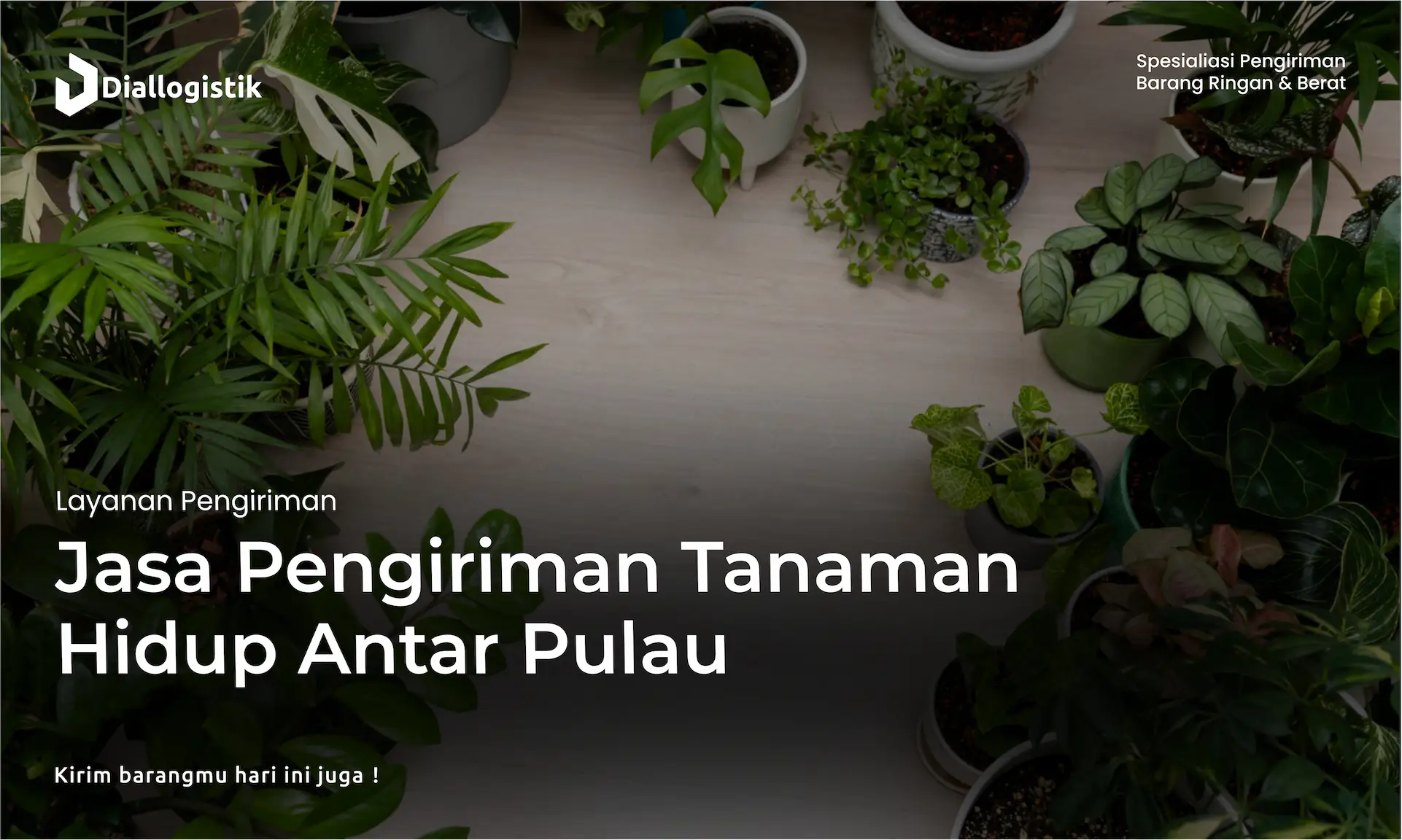 jasa_pengiriman_tanaman_hidup_antar_pulau