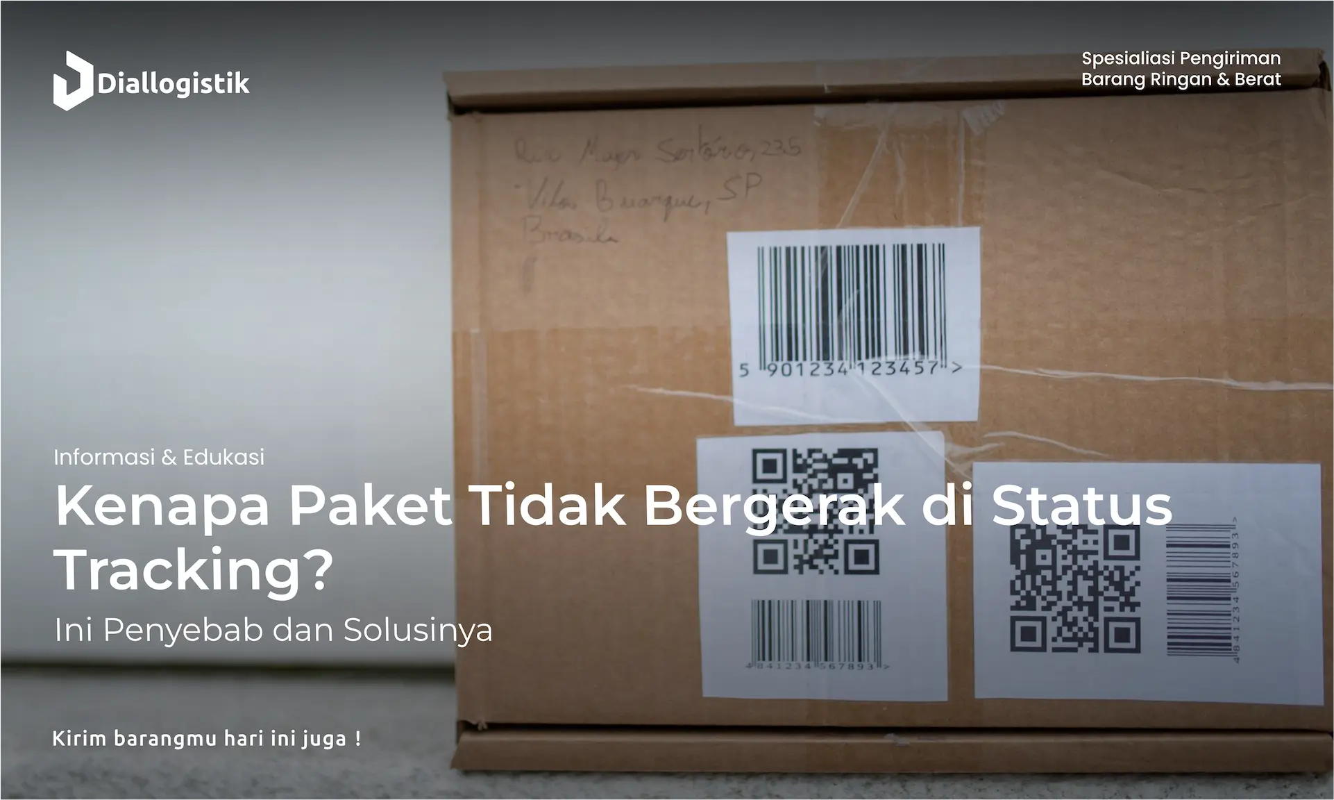 kenapa_paket_tidak_bergerak_di_status_tracking_ini_penyebab_dan_solusinya